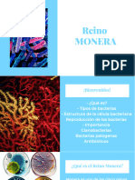 Wepik Descubriendo La Grandeza Microscopica Del Reino Monera 202310131712530BPq