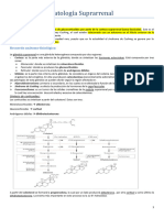 Patologia Suprarrenal