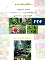 Classes de Vegetacao 2