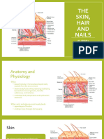 The Skin Hair and Nails Part 1 Anat and Phsyio