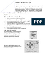 2 Transport in Plants Final