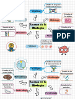 Ramas de La Biologia