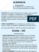 Hierbas Caracteristicas PDF