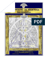 Tratat Practic de Raja Yoga Vindeca Te S