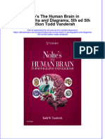 Free Download Noltes The Human Brain in Photographs and Diagrams 5Th Ed 5Th Edition Todd Vanderah Full Chapter PDF
