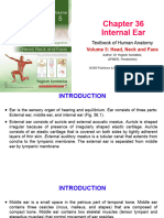 Chapter 36 Internal Ear