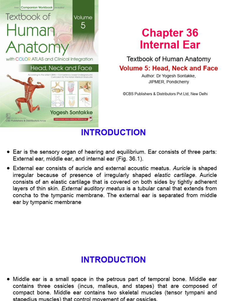 Anatomy of the Internal Ear | PDF | Ear | Vestibular System