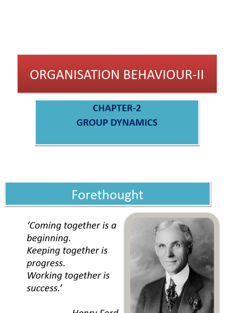 Group Dynamics PDF Group Cohesiveness Psychology
