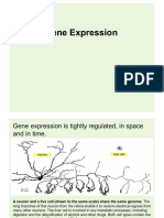 LSM1102 Topic7 Gene Expression Slides