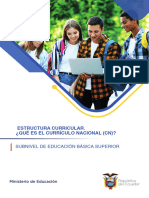 Estructura Curricular QUÉ ES EL CURRÍCULO NACIONAL (CN)