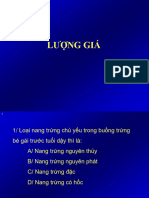 Lượng Giá 4