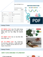 Chuong 2 Protein