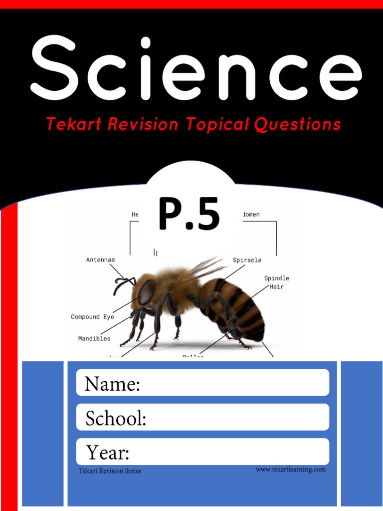 Term 3 P5 Science Revision Questions | PDF | Digestion | Poultry