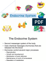 Endocrine Systemppt