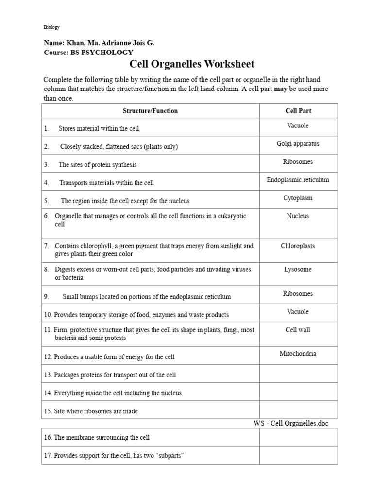 Cell Organelles Worksheet PDF Cell (Biology) Lysosome