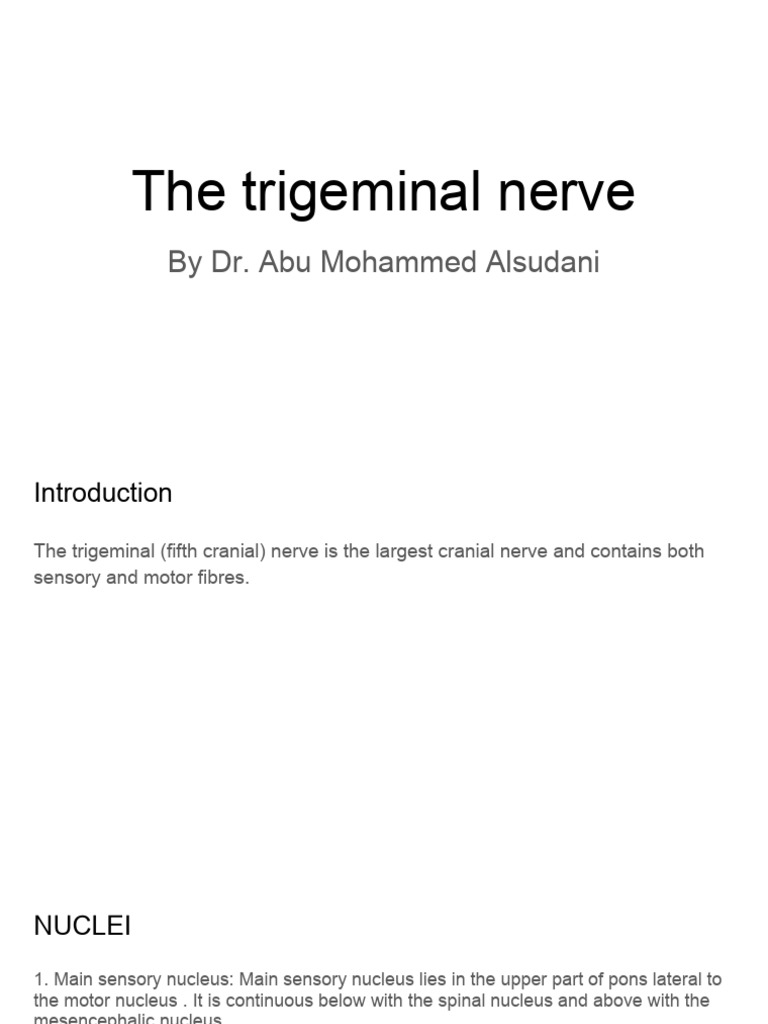 The Trigeminal Nerve | PDF | Neuroanatomy | Nervous System
