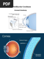 Cornealanatomy 180219110809