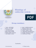Histology of Endocrine System