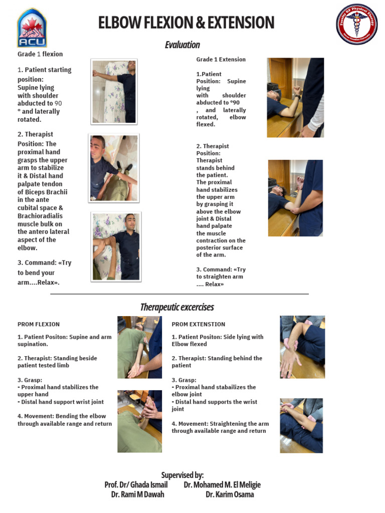 Final eval thera pdf anatomical terms of motion elbow