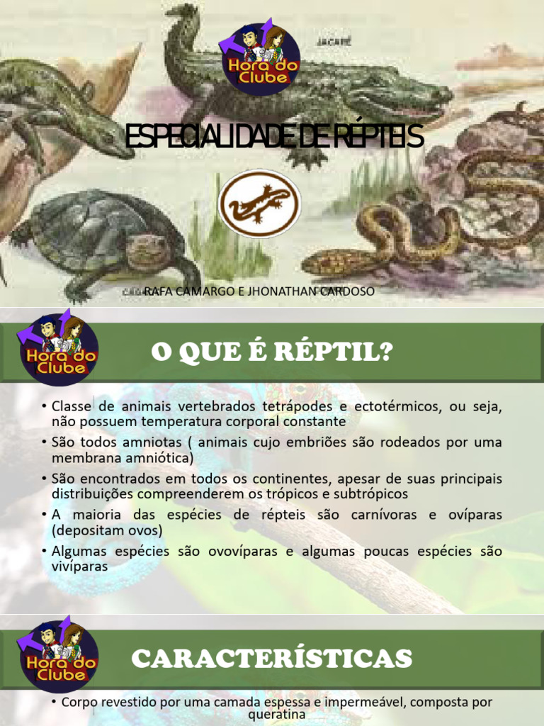 Características dos Répteis e Exemplos | PDF | Lagarto | Zoologia