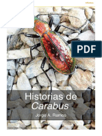 Historias de Carabus