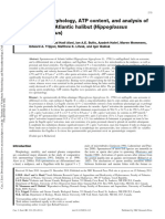 Sperm Morphology ATP Content and Analysi