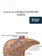 Anatomia Istologia e Funzioni Del Fegato