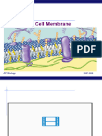 CellMembrane Grade 12