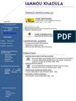 CV PDF