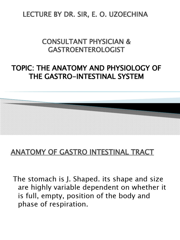 Anatomy of git download free pdf stomach digestion