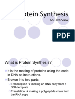 Overview - Protein Synthesis
