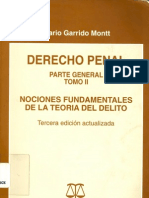 Garrido Montt, Mario - Derecho Penal. Tomo II