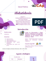 HIDATIDOSIS