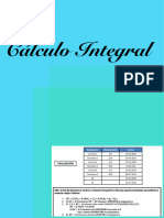 Cálculo Integral