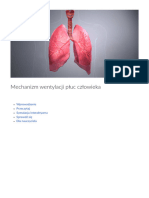 Mechanizm Wentylacji Pluc Czlowieka