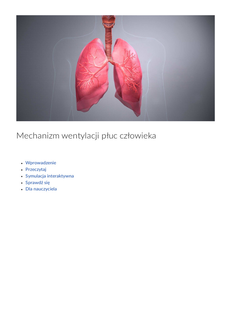Mechanizm Wentylacji Płuc Mechanizm_wentylacji_pluc_czlowieka | PDF