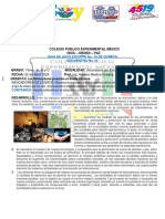 Auto Guia 10 Quimica