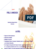 Unidad Nº1 Piel y Anexos - IP Valle Central 2014