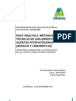 POST-PRACTICA MÉTODOS Y TÉCNICAS DE AISLAMIENTO DE AGENTES FITOPATÓGENOS (CULTIVO TRAMPA (MANZANA) PARA Phytophthora, Siembra de Phytophthora,)