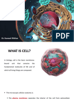 4. THE CELL