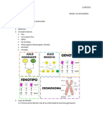 Biologia Ficha Nº14 10 Agosto 5tosec