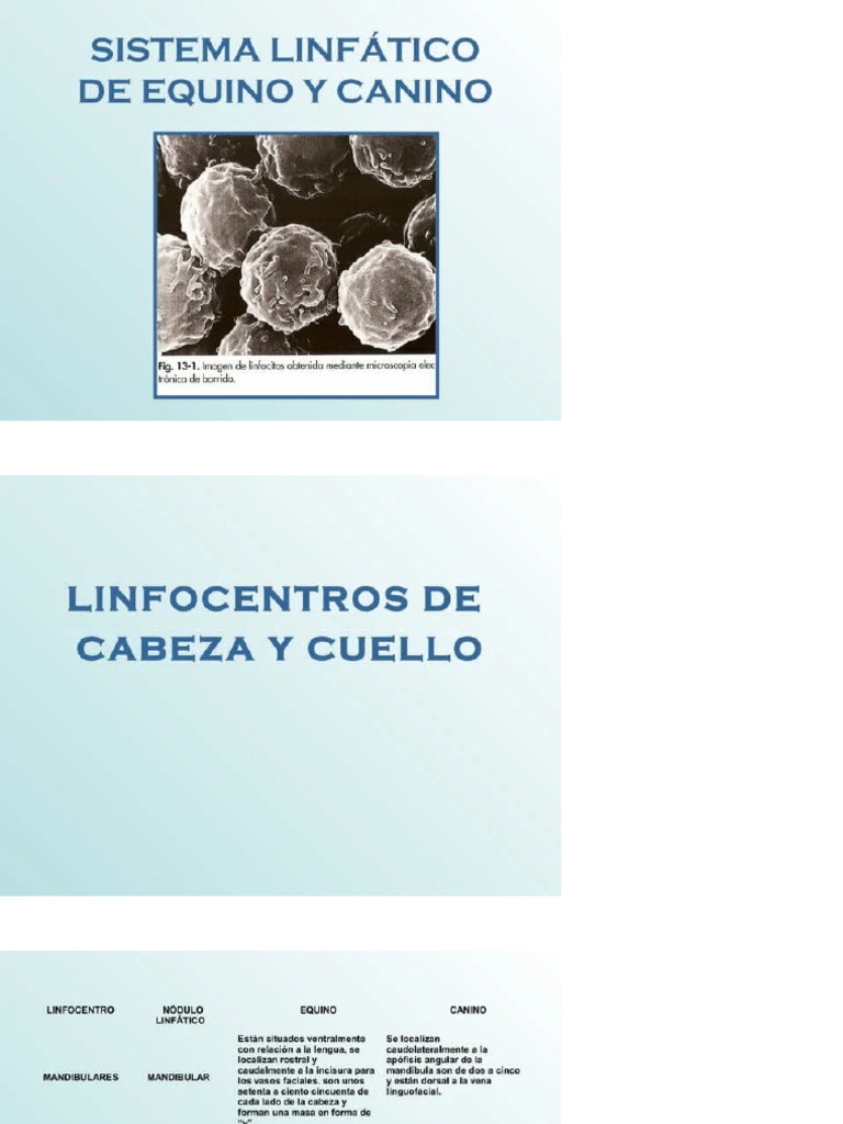 Linfocentros | PDF