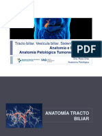 Tracto Biliar. Vesícula Biliar. Sistema de Vater.: Anatomía e Histología. Anatomía Patológica Tumores Malignos