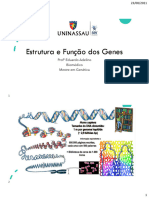 Estrutura e Função Dos Genes
