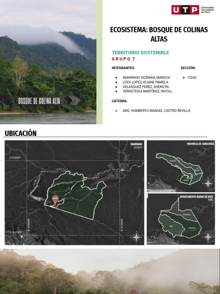 Ecosistema Bosque de Colina Alta Kotsimba | PDF | Los bosques | Clima