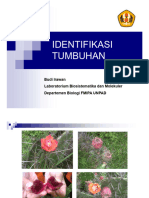 Identifikasi Tumbuhan