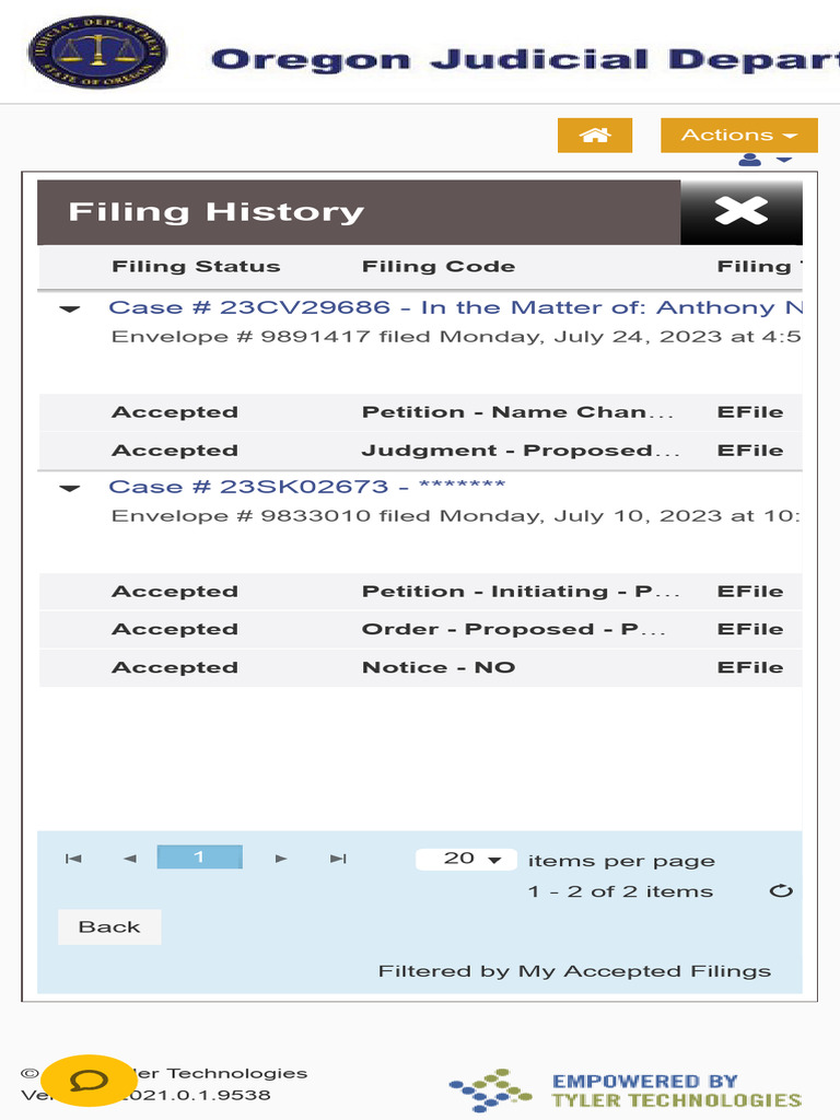 Filing History: Accepted E-Filings | PDF