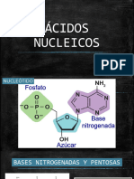 Flujo de La Información Genética