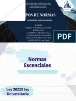 TIPOS DE NORMAS-grupal