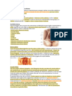 Material Completo - Anatomia Pélvica e Mamária - Prof. Ana Paula